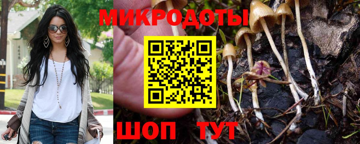 Галлюциногенные грибы MAGIC MUSHROOMS  Вход с VPN  Кыштым  Галлюциногенные грибы Psilocybe 