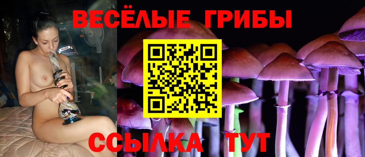Галлюциногенные грибы Psilocybine cubensis Кыштым